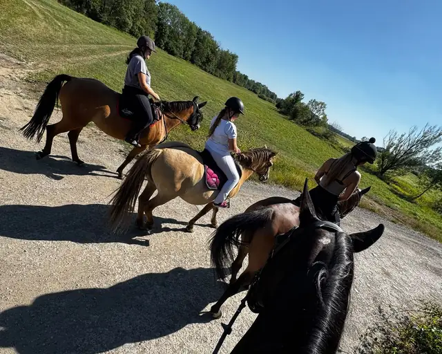 Skupina jezdkyň na vyjížďce po polní cestě podél luk, pohled z koňského hřbetu